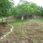 C - July 6, 2011 - Kaxan Xul (1)