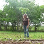 C - July 6, 2011 - Kaxan Xul (3)