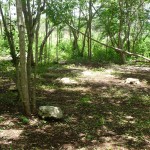 E - July 6, 2011 - Cenote Xcanche (10)