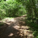E - July 6, 2011 - Cenote Xcanche (13)