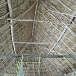 E - July 6, 2011 - Cenote Xcanche (7)