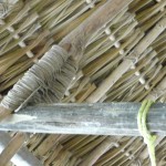 E - July 6, 2011 - Cenote Xcanche (8)