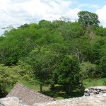 F - July 6, 2011 - Ek Balam (10)