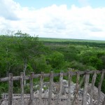 F - July 6, 2011 - Ek Balam (5)