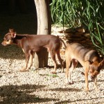 G - July 10, 2011 - Valladolid (11)