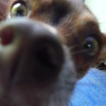 G - July 10, 2011 - Valladolid (18)