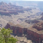 I - Aug 10, 2011 - North Rim Grand Canyon (11)
