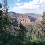 I - Aug 10, 2011 - North Rim Grand Canyon (51)