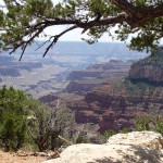 I - Aug 10, 2011 - North Rim Grand Canyon (8)