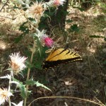 K - Aug 12, 2011 - Hiking In Sedona (7)