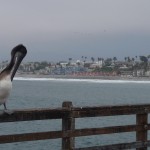 L - Aug 16, 2011 - Pier in Oceanside CA (7)