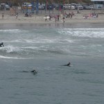 L - Aug 16, 2011 - Pier in Oceanside CA (9)