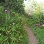 M - Sep 7, 2011 - Hiking In Uintahs (3)