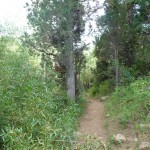 M - Sep 7, 2011 - Hiking In Uintahs (4)