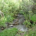 M - Sep 7, 2011 - Hiking In Uintahs (5)