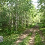 M - Sep 7, 2011 - Hiking In Uintahs (6)