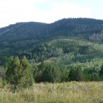 M - Sep 7, 2011 - Hiking In Uintahs (9)