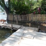 P - Oct 10, 2011 - San Marcos Boat Dock (2)