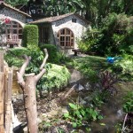 P - Oct 10, 2011 - San Marcos Boat Dock (5)