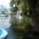 P - Oct 10, 2011 - San Marcos Boat Dock (7)