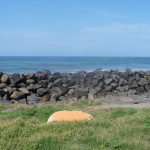 A0 - Sept 21, 2012 - Puerto Madero (04)