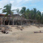 A1 - Sept 22-26, 2012 - Mazunte Hotel (02)