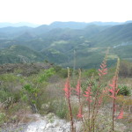 A15 - Oct 3, 2012 - Hierve El Agua (13)