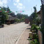 A3 - Sept 22-26, 2012 - Around Mazunte (05)