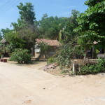 A3 - Sept 22-26, 2012 - Around Mazunte (08)