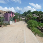 A3 - Sept 22-26, 2012 - Around Mazunte (10)