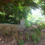 A4 - Sept 25, 2012 - Mazunte Punta Cometa (02)