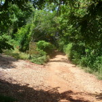 A4 - Sept 25, 2012 - Mazunte Punta Cometa (04)