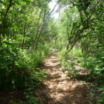 A4 - Sept 25, 2012 - Mazunte Punta Cometa (05)