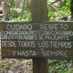 A4 - Sept 25, 2012 - Mazunte Punta Cometa (06)