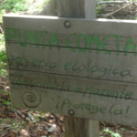 A4 - Sept 25, 2012 - Mazunte Punta Cometa (07)