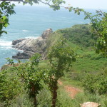 A4 - Sept 25, 2012 - Mazunte Punta Cometa (13)