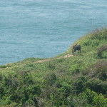 A4 - Sept 25, 2012 - Mazunte Punta Cometa (17)