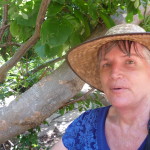 A4 - Sept 25, 2012 - Mazunte Punta Cometa (26)