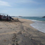 A6 - Sept 27, 2012 - Mazunte Boat Trip (26)