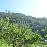 A7 - Sept 30, 2012  - Mazunte To Oaxaca (08)