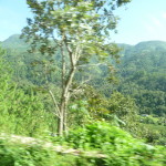 A7 - Sept 30, 2012  - Mazunte To Oaxaca (09)