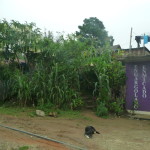 A7 - Sept 30, 2012  - Mazunte To Oaxaca (11)