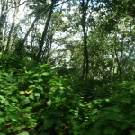 A7 - Sept 30, 2012  - Mazunte To Oaxaca (16)