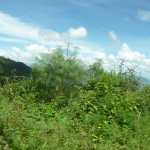 A7 - Sept 30, 2012  - Mazunte To Oaxaca (24)