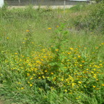 A7 - Sept 30, 2012  - Mazunte To Oaxaca (27)