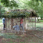 B1 - Oct 30, 2012 - Merida To Uxmal (04)