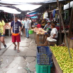 B5 - Dec 29-31, 2013 - Around Iquitos (7)