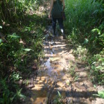 B5 - Feb 14, 2014 - Hike into Jungle at Totwol (13)