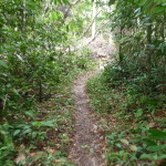 B5 - Feb 14, 2014 - Hike into Jungle at Totwol (15)