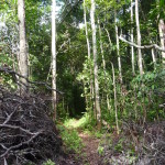 B5 - Feb 14, 2014 - Hike into Jungle at Totwol (16)